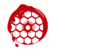 Skatehive_Logo_novo_Prancheta_1_-_Copia_cop.png