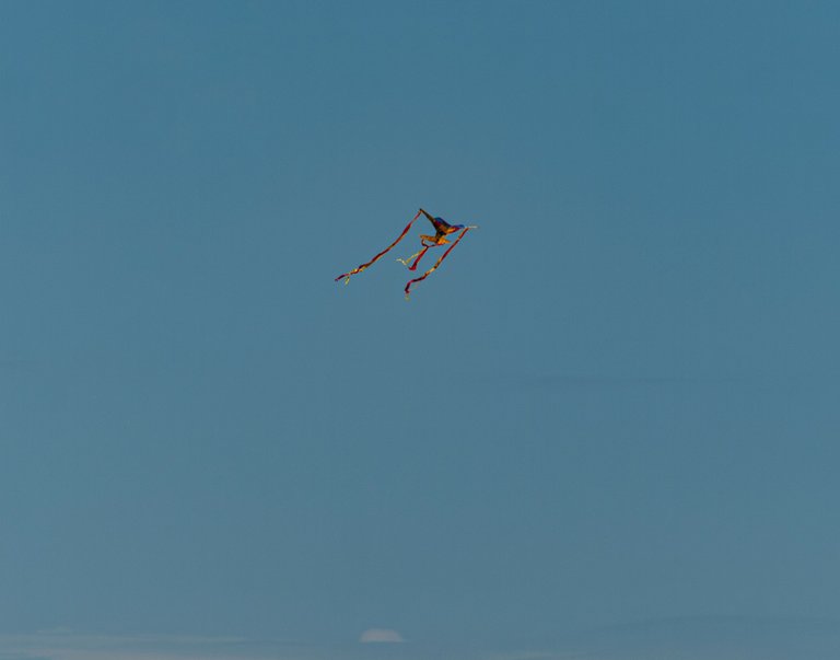 P1013615-Enhanced-NR copy.jpg