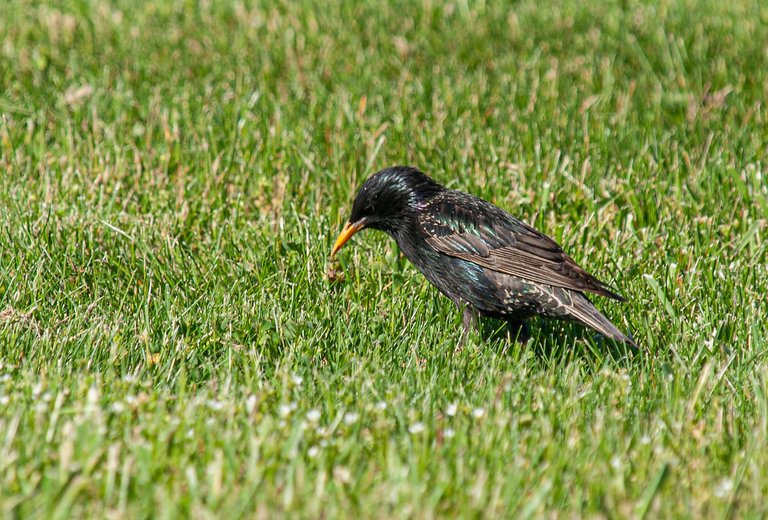P1013430 copy.jpg