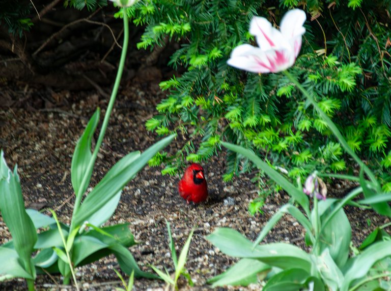 P1019435-Enhanced-NR copy.jpg
