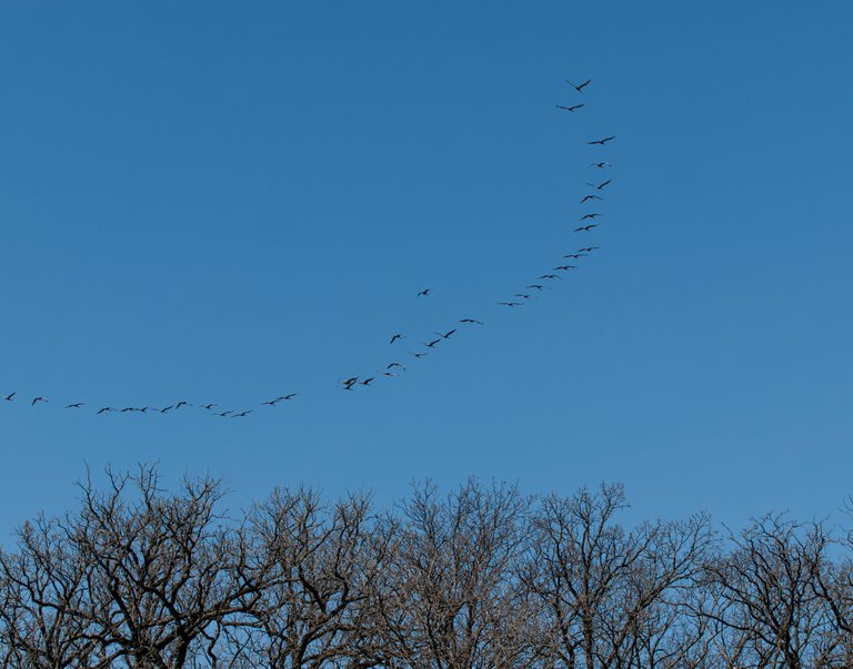 P1012786-Enhanced-NR copy.jpg