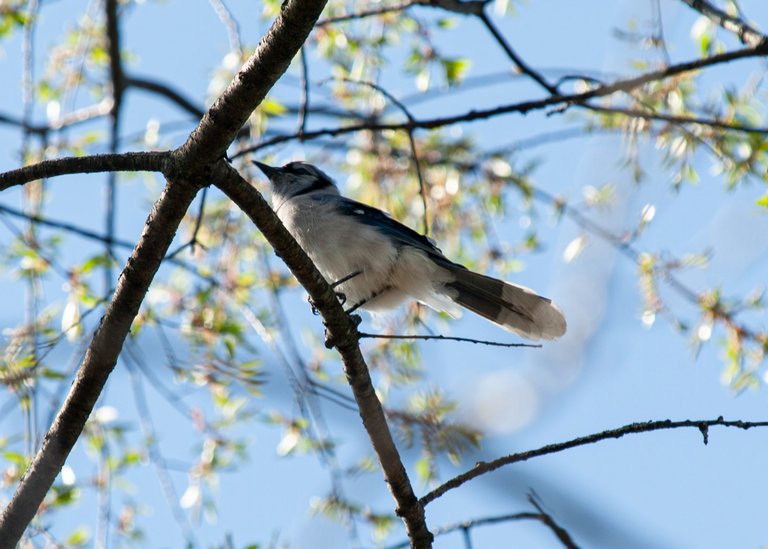 P1013240-Enhanced-NR copy.jpg