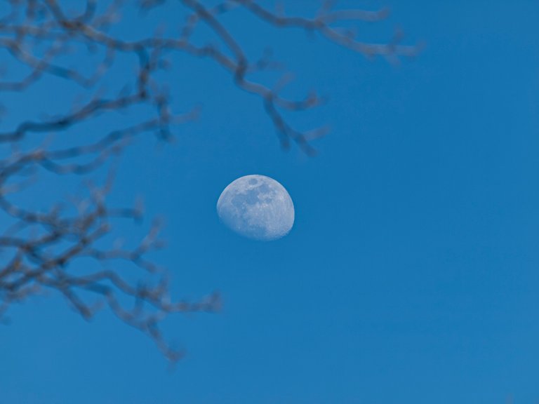 P1012830-Enhanced-NR copy.jpg