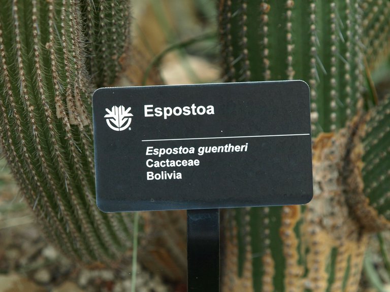 P1014056.JPG