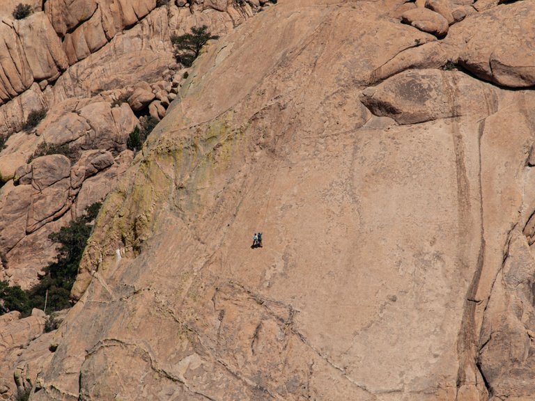 P1013136 copy.jpg