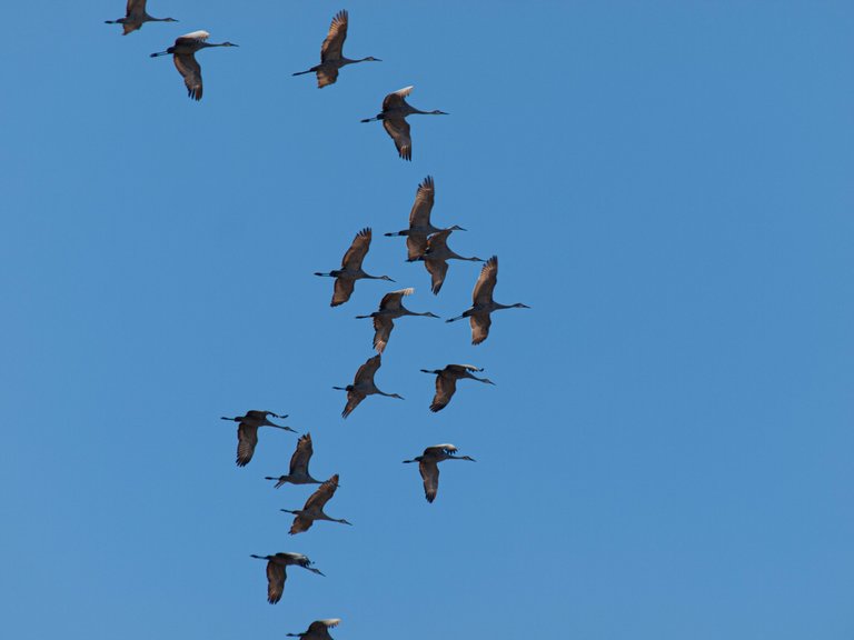 P1012780 copy.jpg