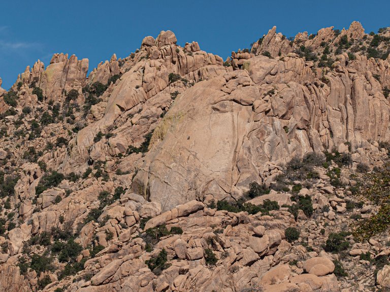 P1013139 copy.jpg
