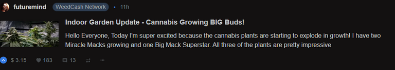 @futuremind Indoor Garden Update - Cannabis Growing BIG Buds!
