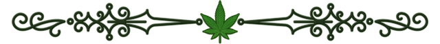 CS_GREEN_CANNACURATE_DIVIDER_TRANSPARENT.png