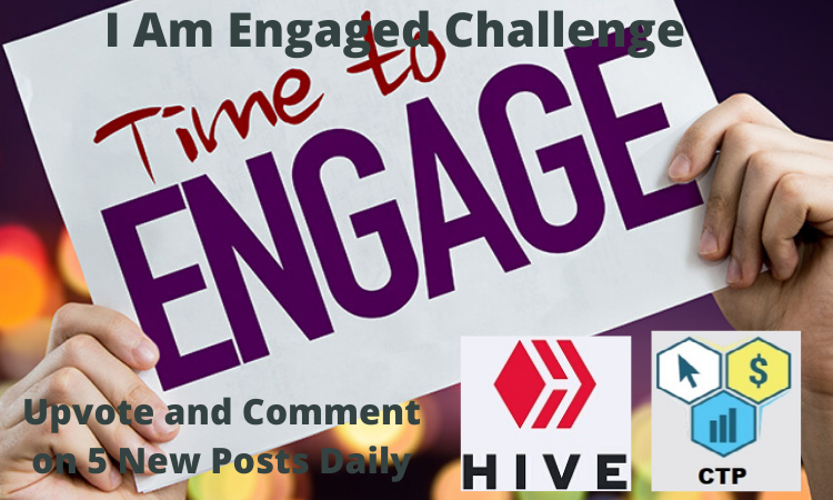 I Am Engaged Challenge 3a.png