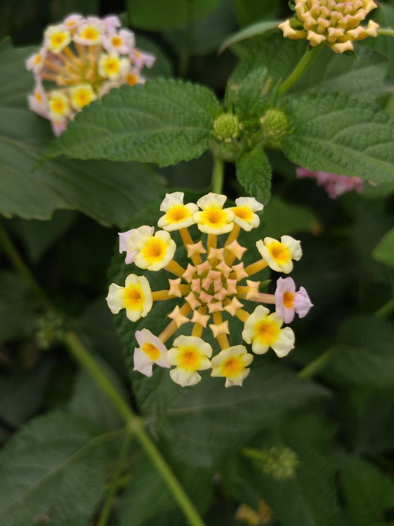 20180609_130617.jpg