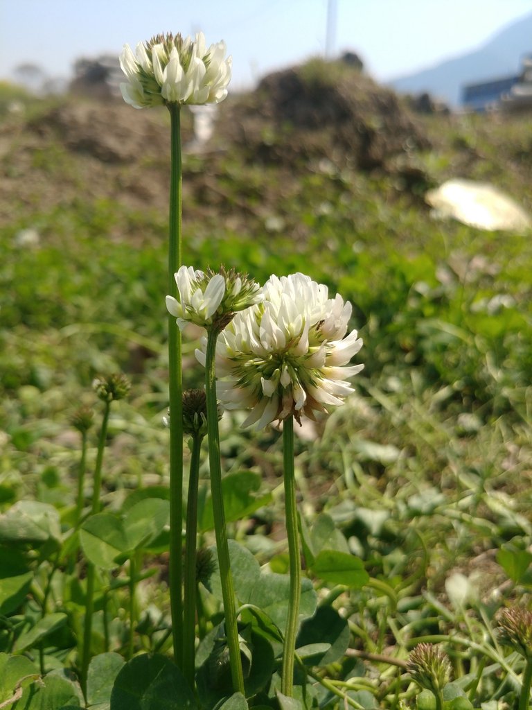 20180318_130240.jpg