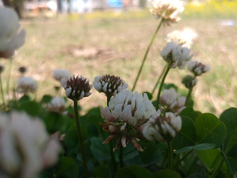 20180318_125510.jpg