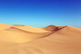 Steem desert