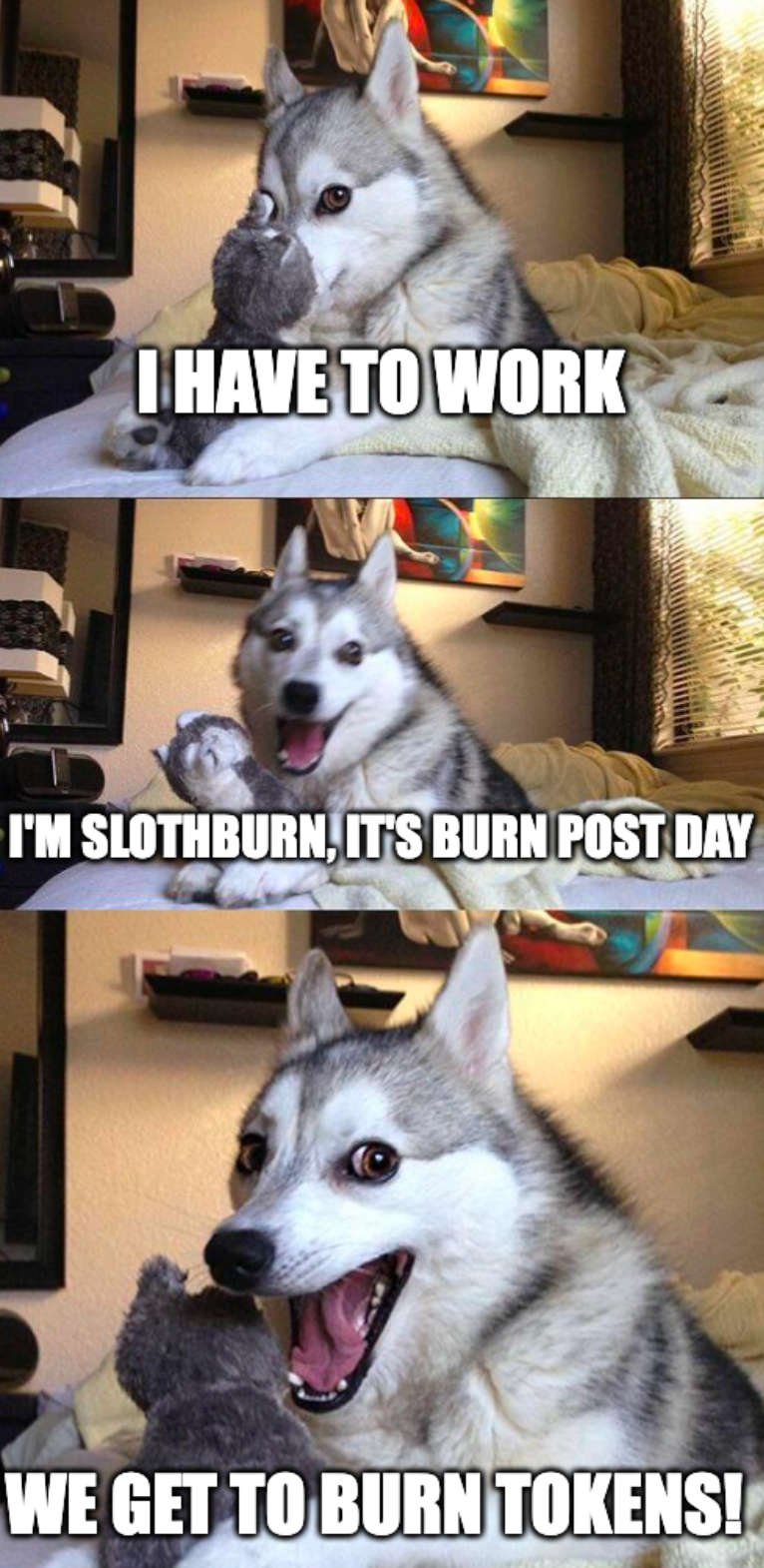 SlothBurn Daily Burning MEME! 