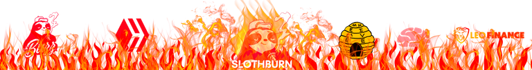 113.2 Slothbuzz burnt!