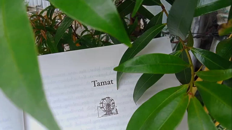 Screenshot (20).png