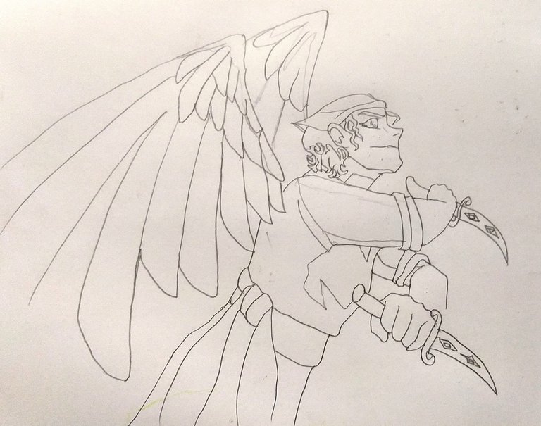 ali 1.jpg
