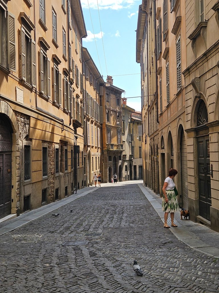 20250623_164203.jpg