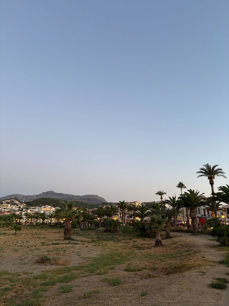 IMG_3864.jpg