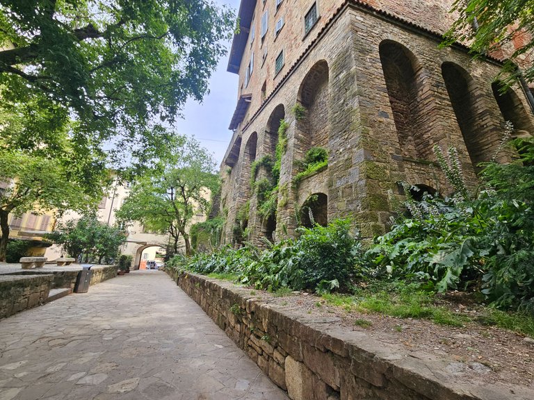 20250623_163109.jpg