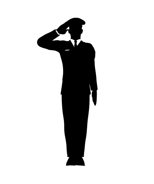 salute-2669666_640.png