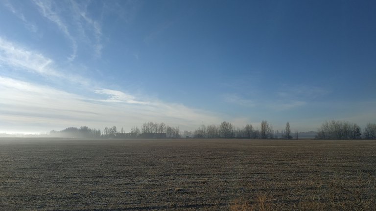 IMG_20250130_092124.jpg
