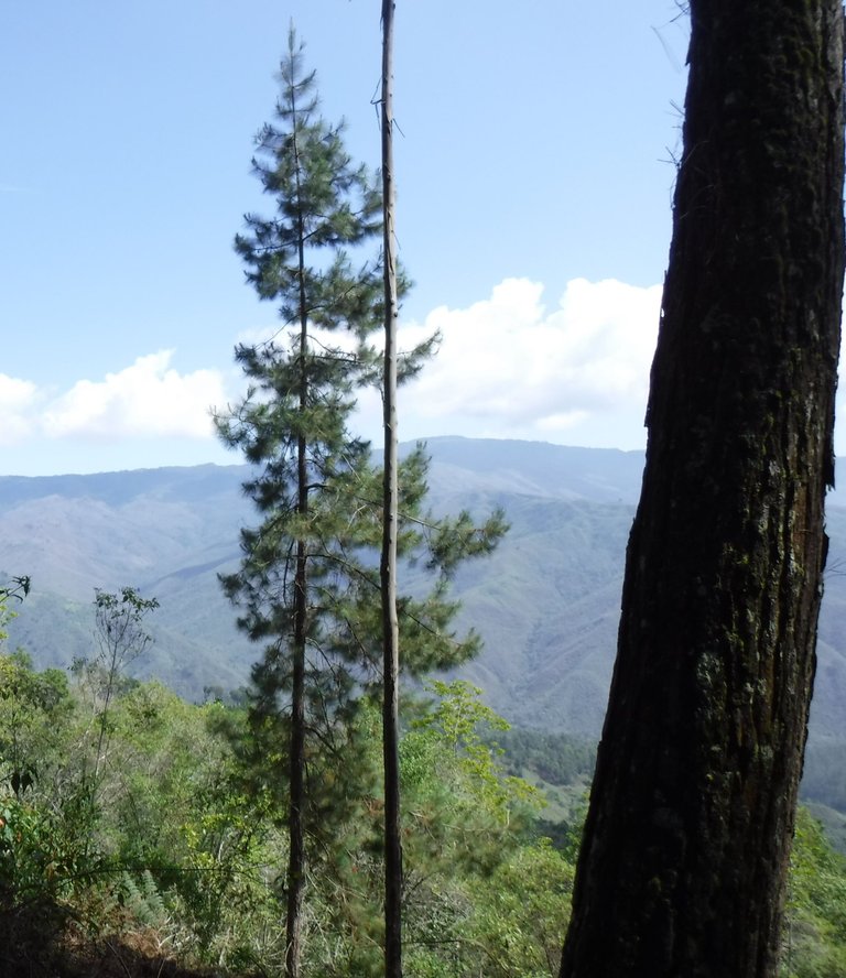 DSCF5452.JPG