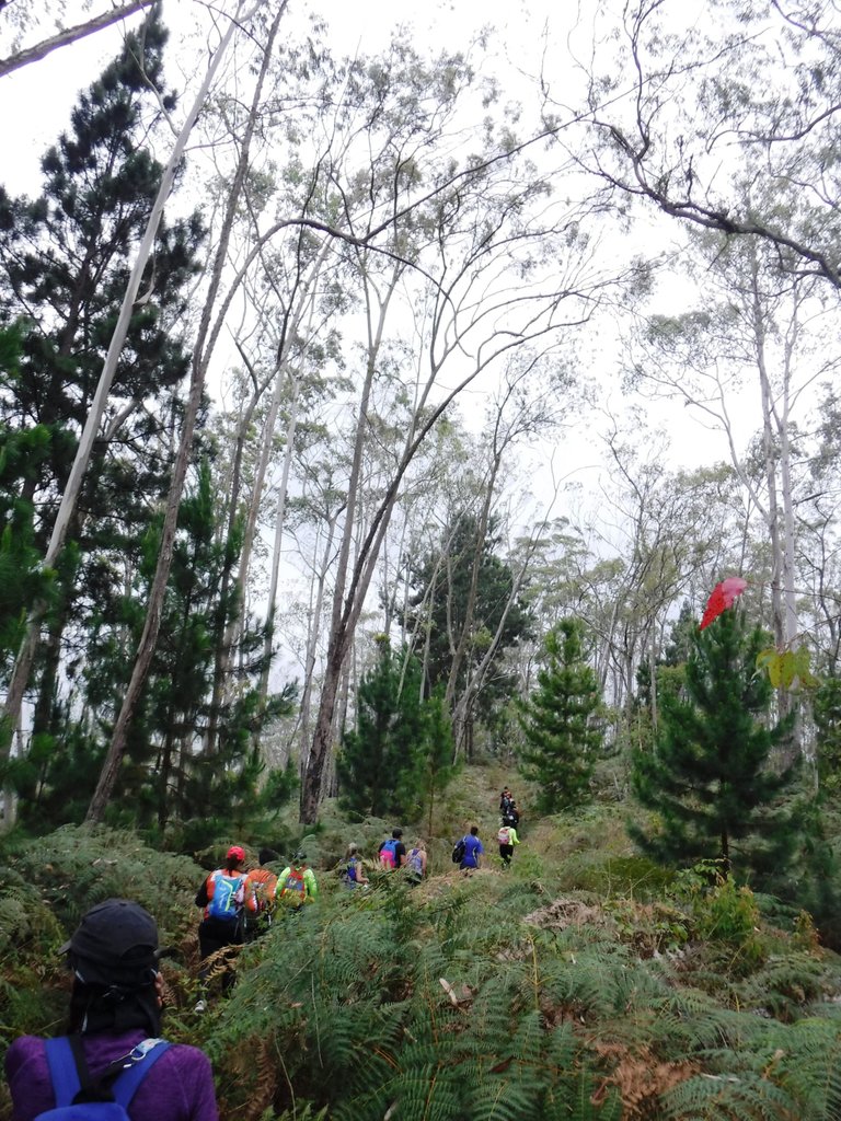 DSCF5478.jpg