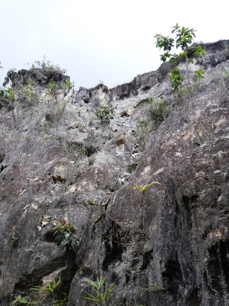 DSCF5534.jpg