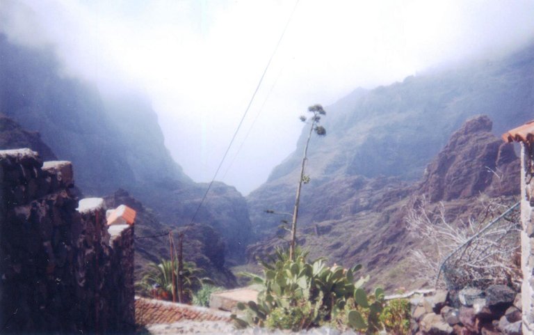 061 - Masca.jpg