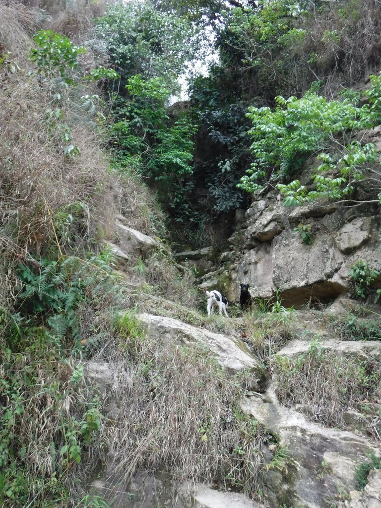DSCF5576.jpg