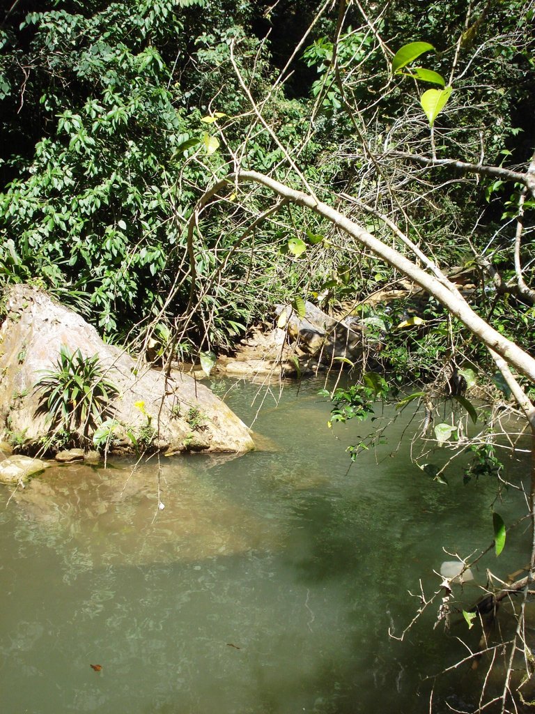 DSC05115.JPG