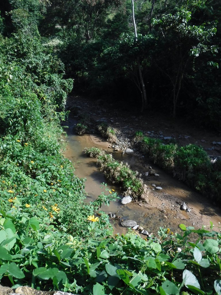 DSCF7207.jpg