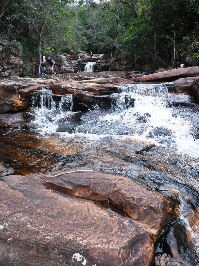 DSCF0247.jpg