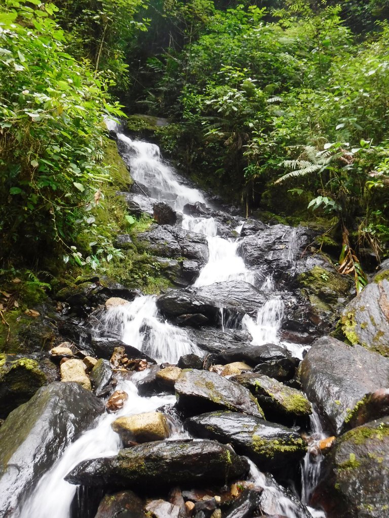 DSCF1188a.jpg