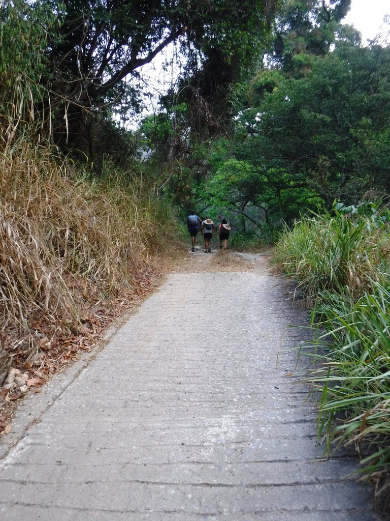 DSCF4855.jpg