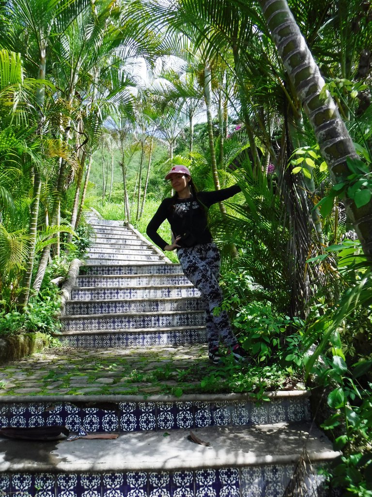 DSCF6614.jpg