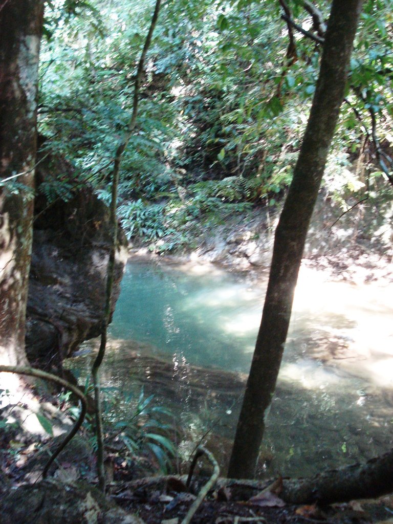 DSC05110.JPG