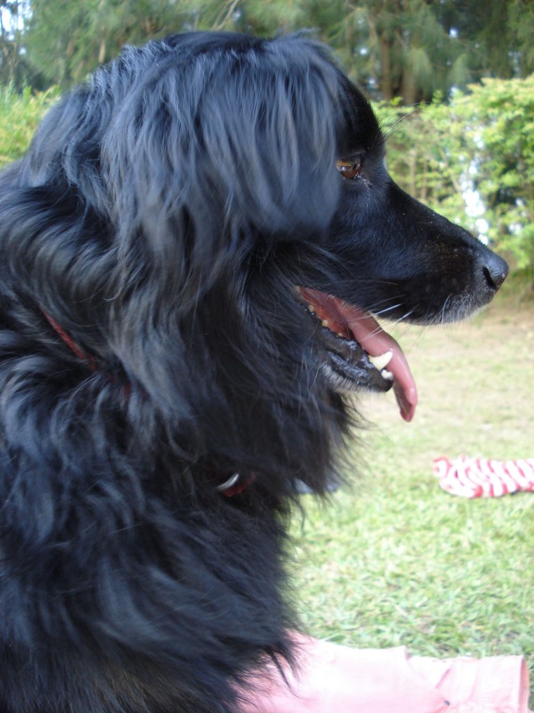DSC09271.JPG