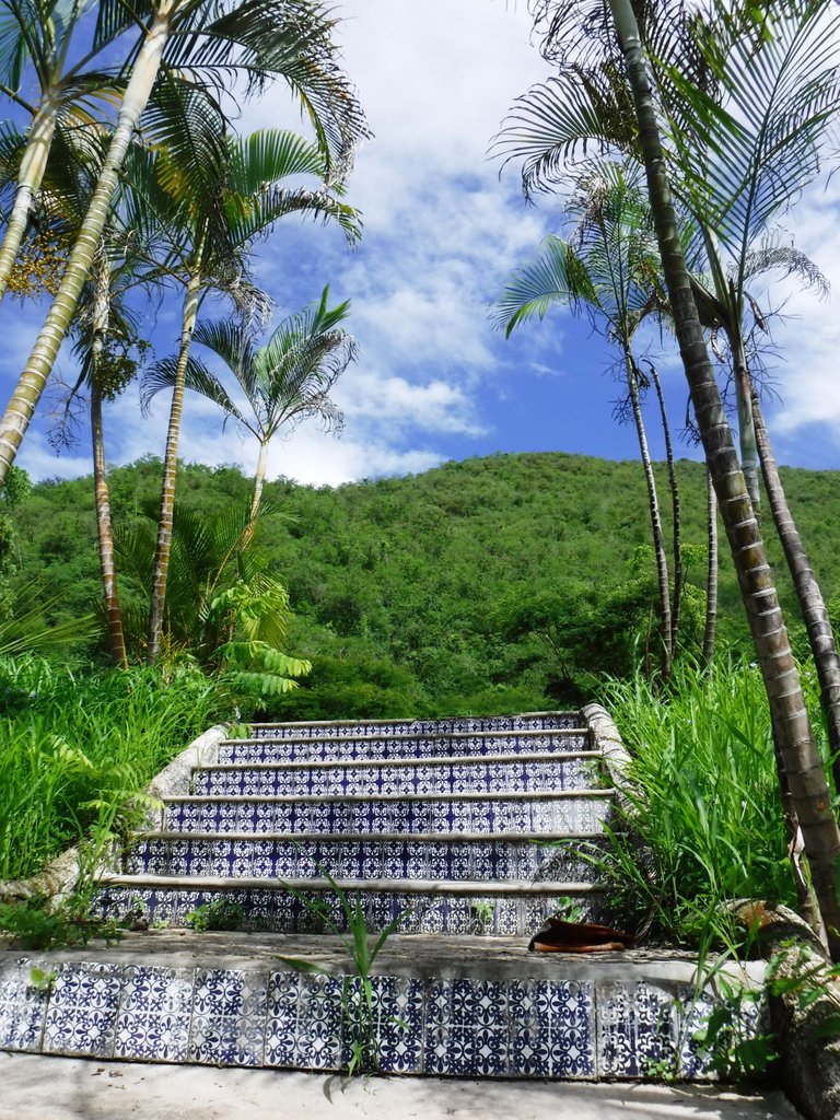 DSCF6616.jpg