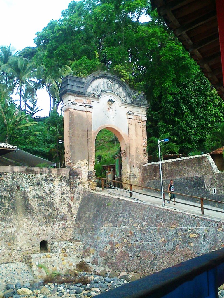 203.jpg