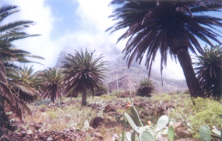 062 - Masca.jpg