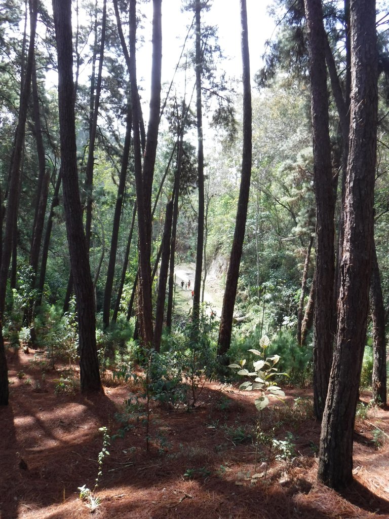 DSCF5446.jpg