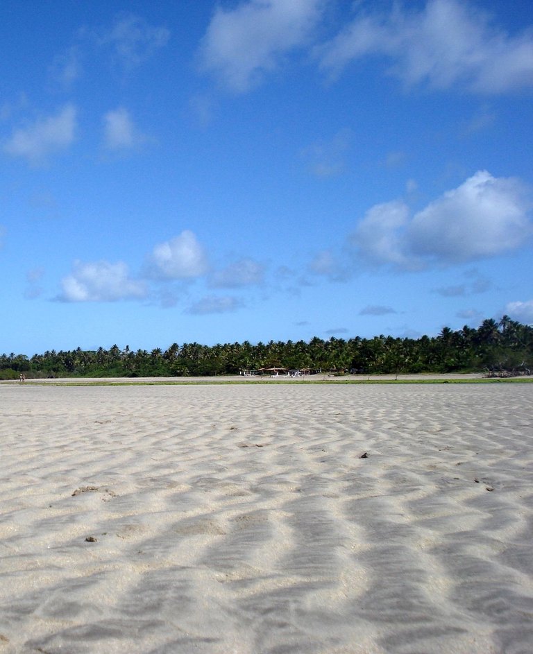 156.JPG