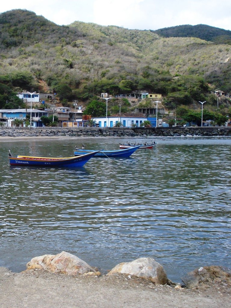 194.JPG