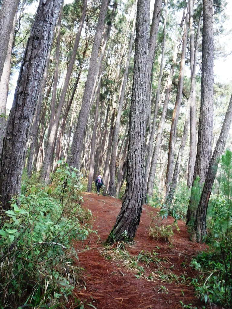 DSCF5453.jpg