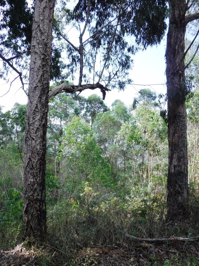 DSCF5415.jpg