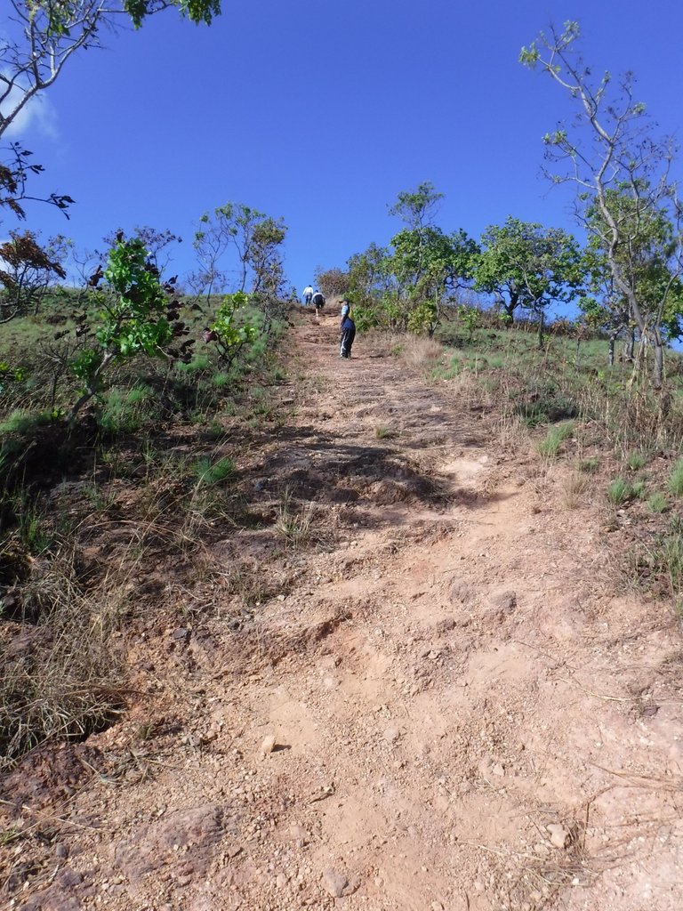 DSCF6035.jpg