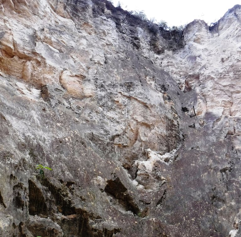DSCF5528.jpg